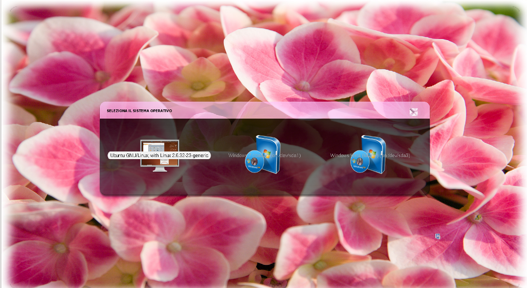 hortensia